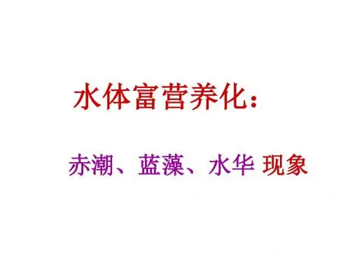 水体富营养化