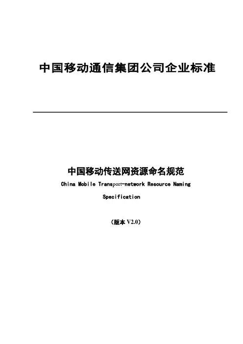 移动传送网命名规范