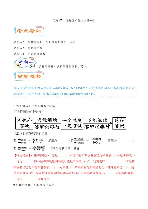 专题07溶解度和溶质质量分数(考点详解)-广东2024年中考化学考点微专题(原卷版)