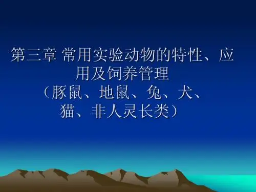 豚鼠和地鼠