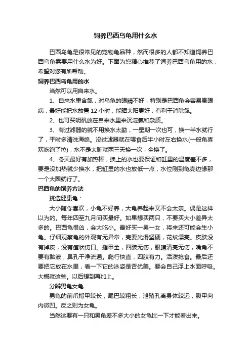 饲养巴西乌龟用什么水