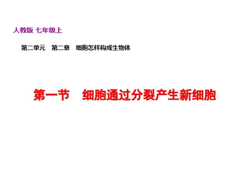 人教版生物七年级第2单元生物体的结构层次第2章细胞怎样构成生物体学习课件