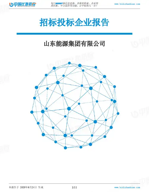 山东能源集团有限公司-招投标数据分析报告