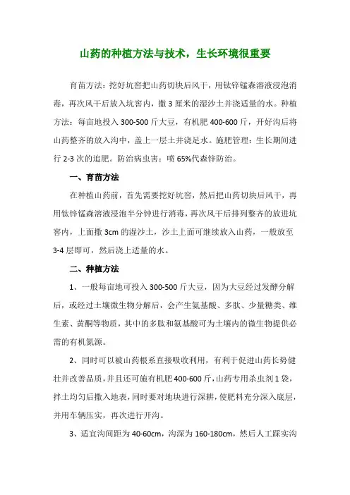 山药的种植方法与技术,生长环境很重要