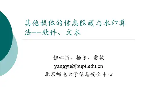 06.1 其他载体的信息隐藏与水印算法