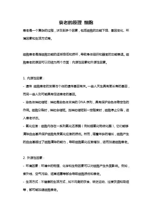 衰老的原理 细胞