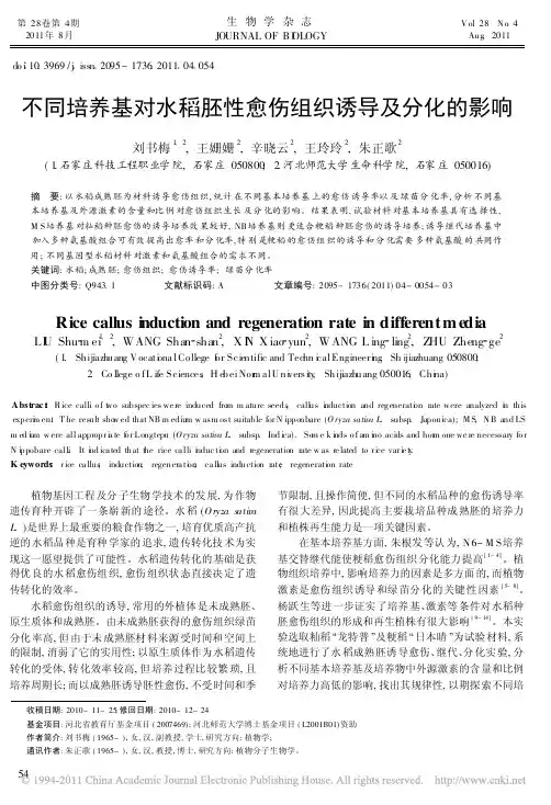 不同培养基对水稻胚性愈伤组织诱导及分化的影响