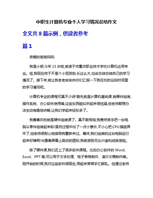 中职生计算机专业个人学习情况总结作文
