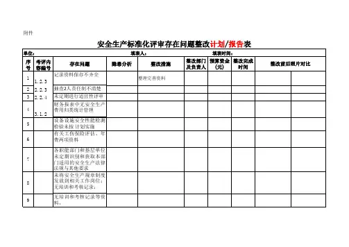 整改计划(报告)表