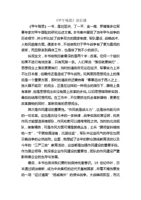 《甲午殇思》读后感