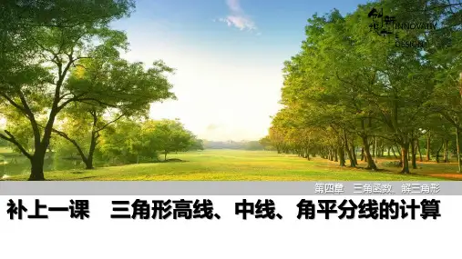 三角形高线中线角平分线的计算课件高三数学一轮复习