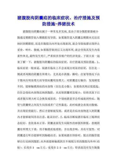 猪腹股沟阴囊疝的临床症状、治疗措施及预防措施 - 养猪技术
