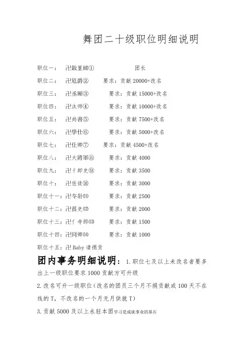 舞团二十级职位明细说明