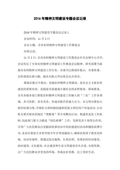 年精神文明建设专题会议记录