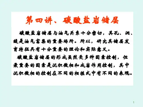 四.碳酸盐岩储层
