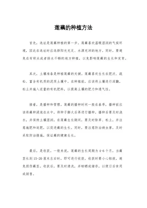 莲藕的种植方法
