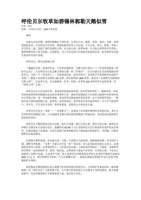 呼伦贝尔牧草如碧锡林郭勒天鹅似雪