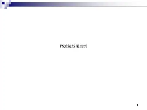 PS滤镜效果案例课件