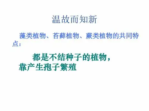 人教版七年级生物上册课件：3.1.2 种子植物(共33张PPT)