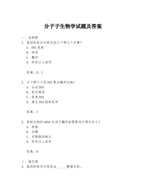 分子子生物学试题及答案