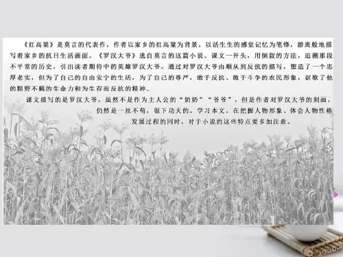 高中语文第九单元第17课红旗谱朱老巩护钟课件新人教版选修中国小说欣赏