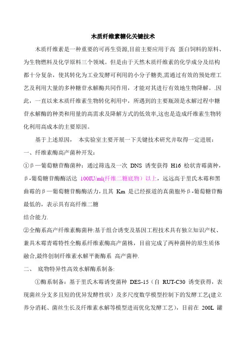 木质纤维素糖化关键技术