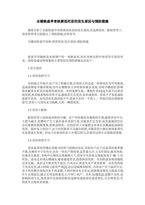 水稻软盘旱育秧黄苗死苗的发生原因与预防措施