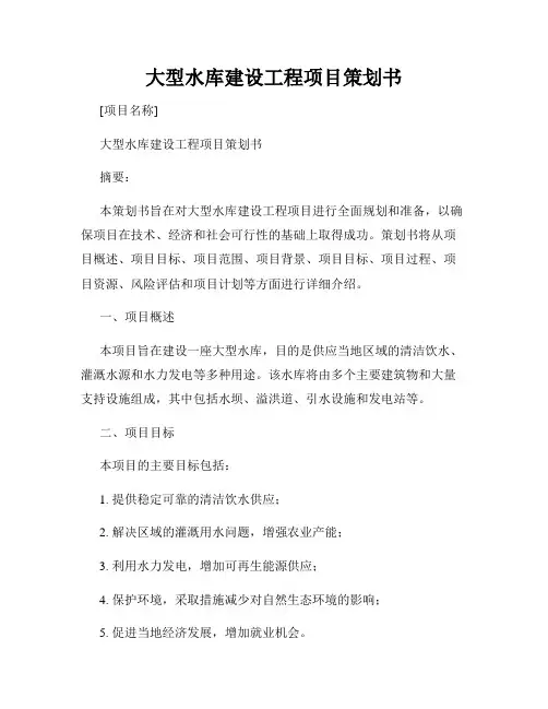 大型水库建设工程项目策划书