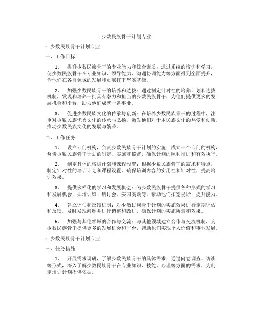 少数民族骨干计划专业