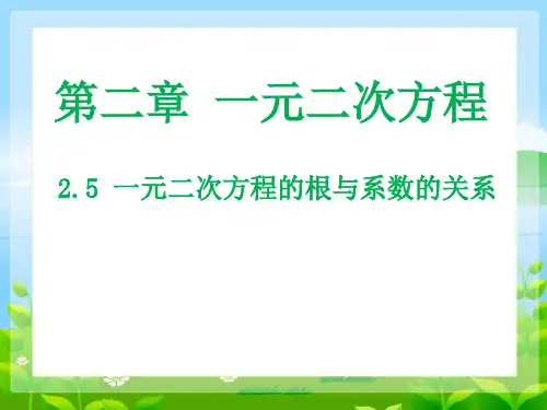 北师大版数学九年级上册一元二次方程的根与系数的关系课件
