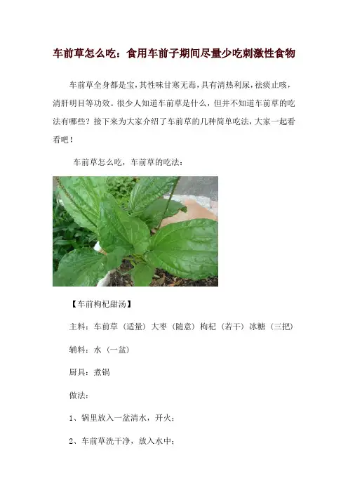 车前草怎么吃：食用车前子期间尽量少吃刺激性食物