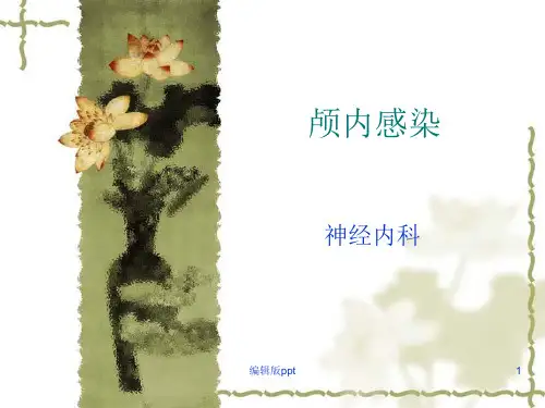 颅内感染ppt课件