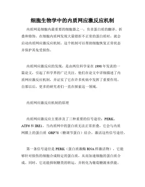 细胞生物学中的内质网应激反应机制