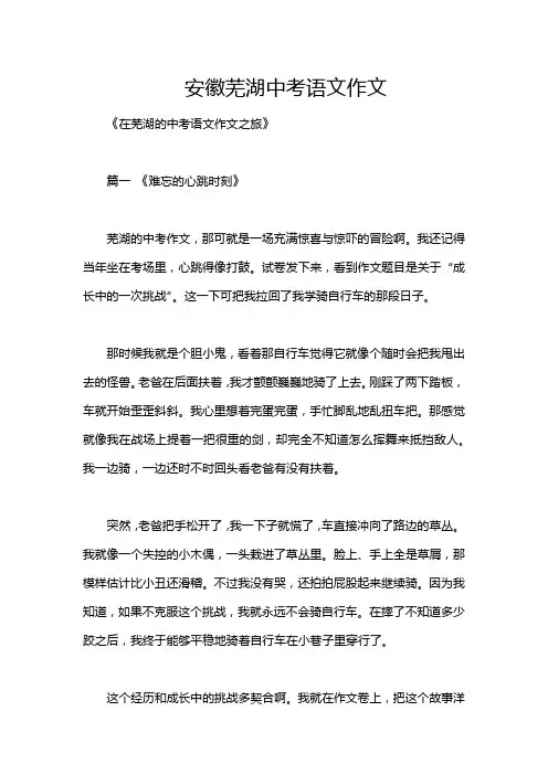 安徽芜湖中考语文作文