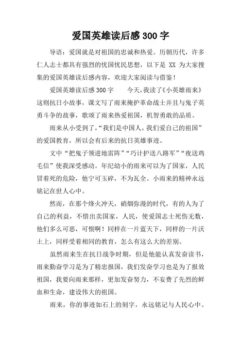 爱国英雄读后感300字