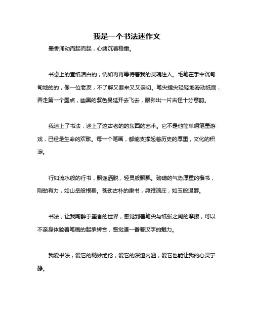 我是一个书法迷作文