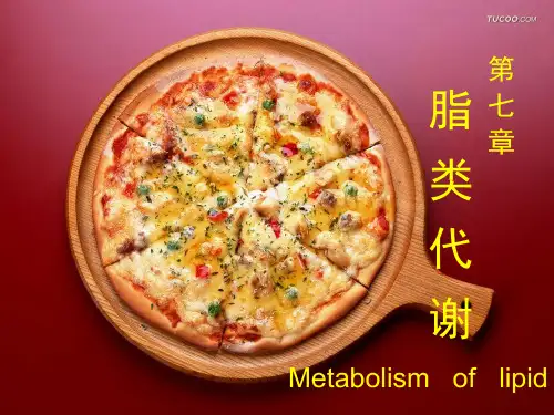 脂类代谢