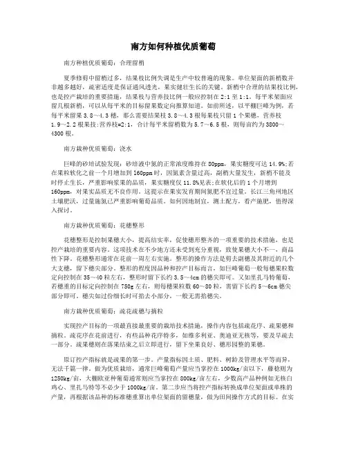 南方如何种植优质葡萄