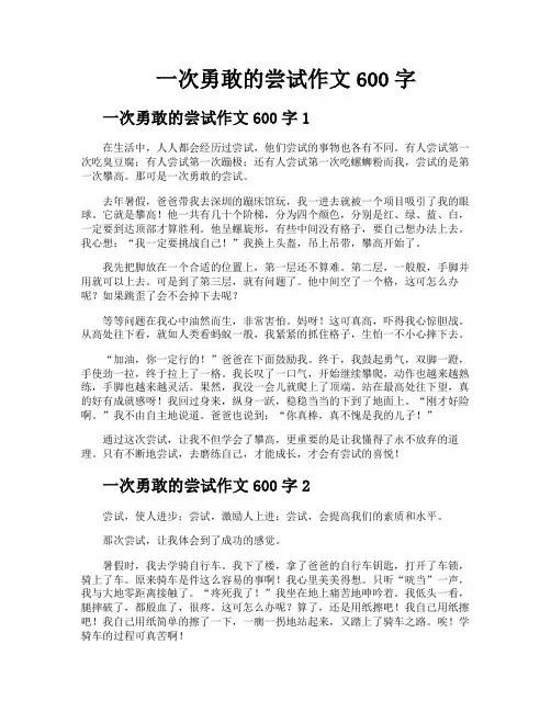一次勇敢的尝试作文600字