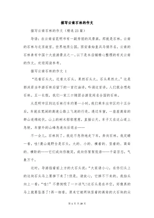 描写云南石林的作文