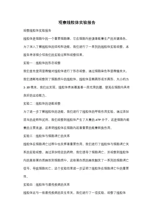 观察线粒体实验报告