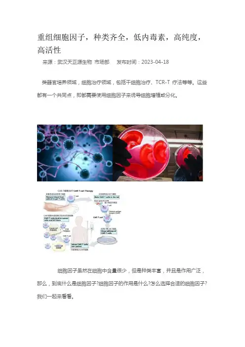 高活性细胞因子-武汉天正源重组细胞因子
