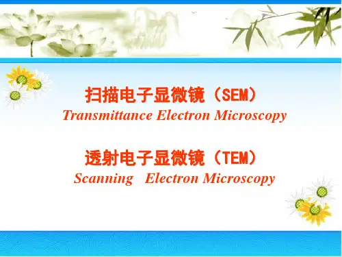 仪器分析SEM,TEM【优质PPT】