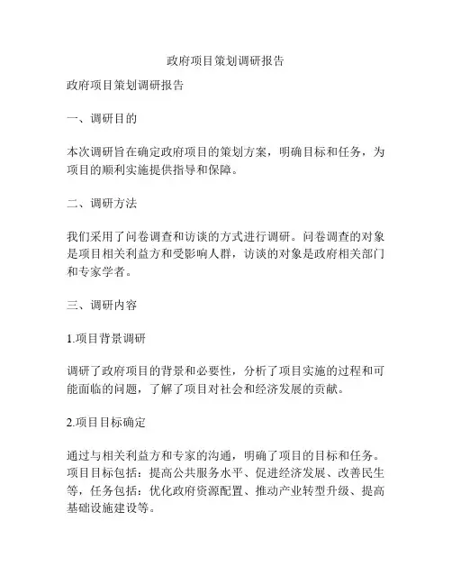 政府项目策划调研报告