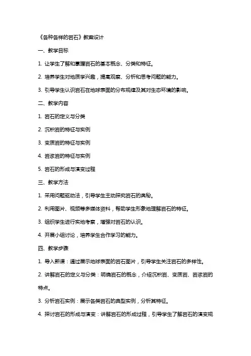 《各种各样的岩石》教案设计