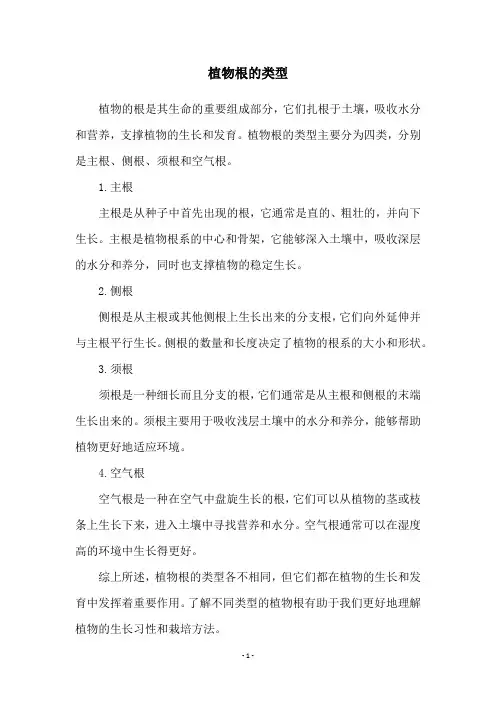 植物根的类型
