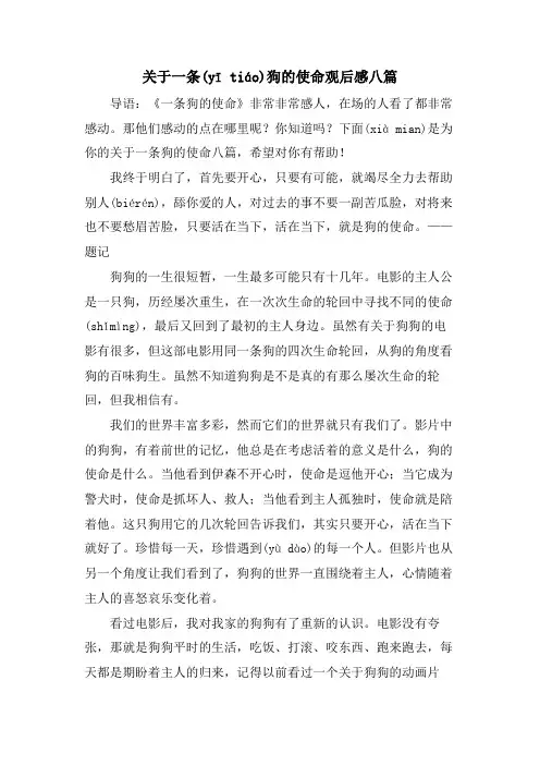 关于一条狗的使命观后感八篇