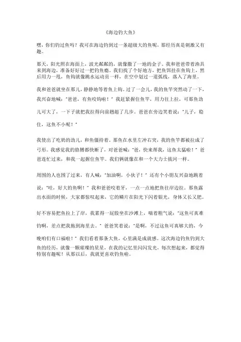海边钓鱼钓上了一条大鱼的作文600字