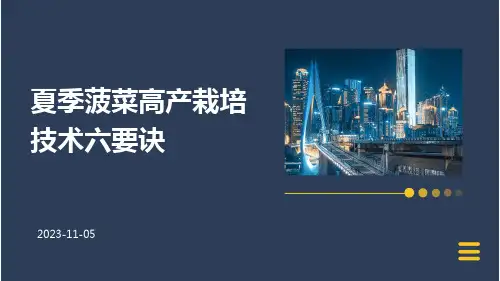 夏季菠菜高产栽培技术六要诀