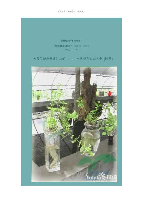 各种花卉的水培方法